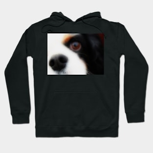 Nosey!! Hoodie